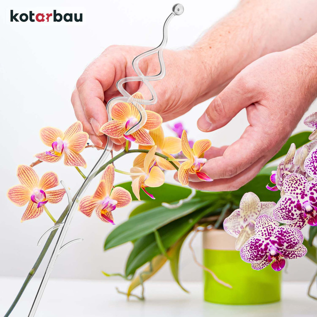 Suport de plante din plastic transparent 55 cm set de 4 buc.