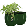 Ghiveci de flori din ceramică smălțuită plante verzi 13 cm set de 2 buc.